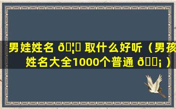 男娃姓名 🦍 取什么好听（男孩姓名大全1000个普通 🐡 ）